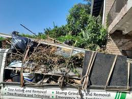 Demolition Debris Removal in Arden Hills, MN